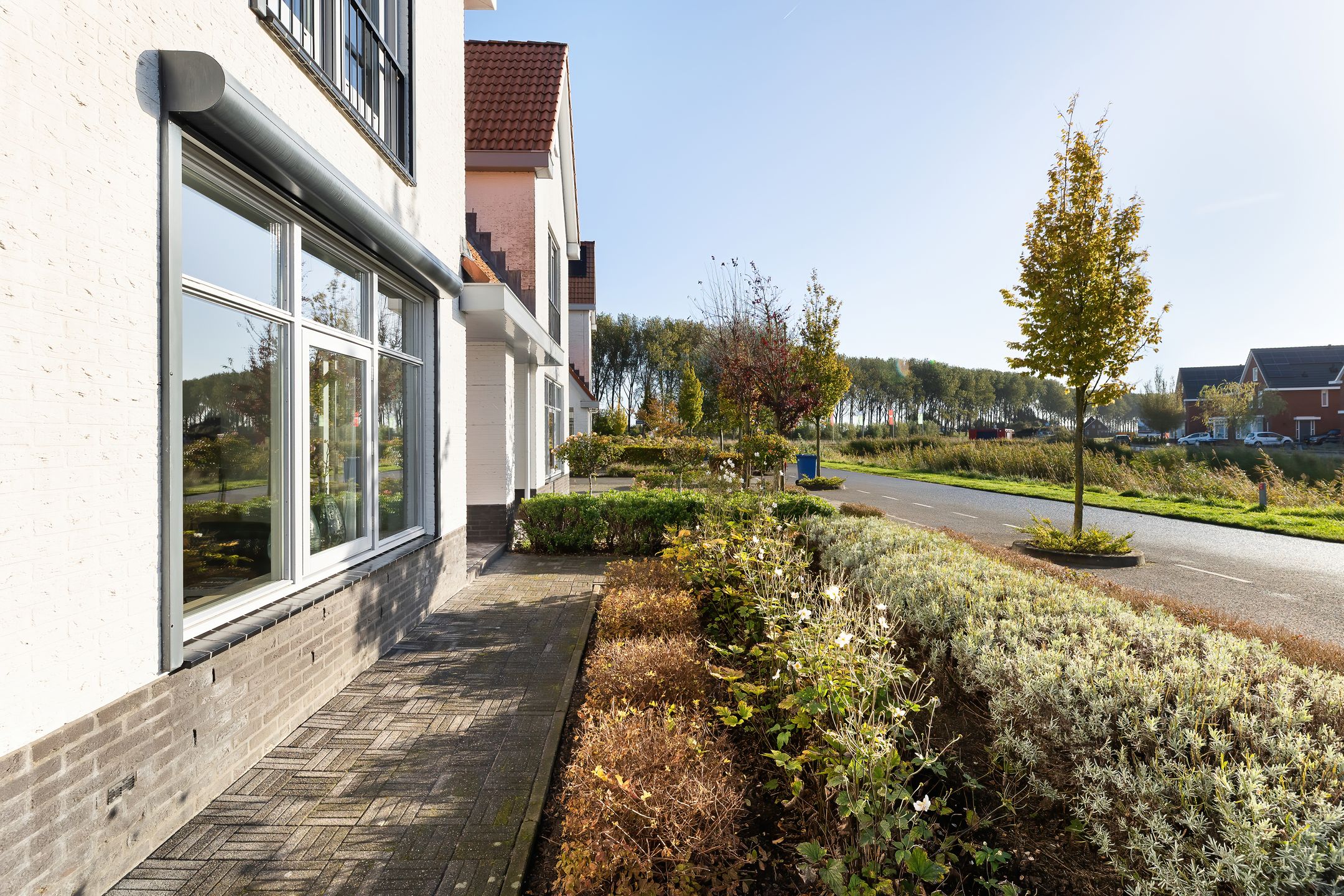 Foto 45 van Jacobsschelp 68