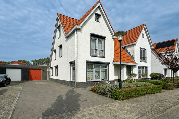 Foto 52 van Jacobsschelp 68