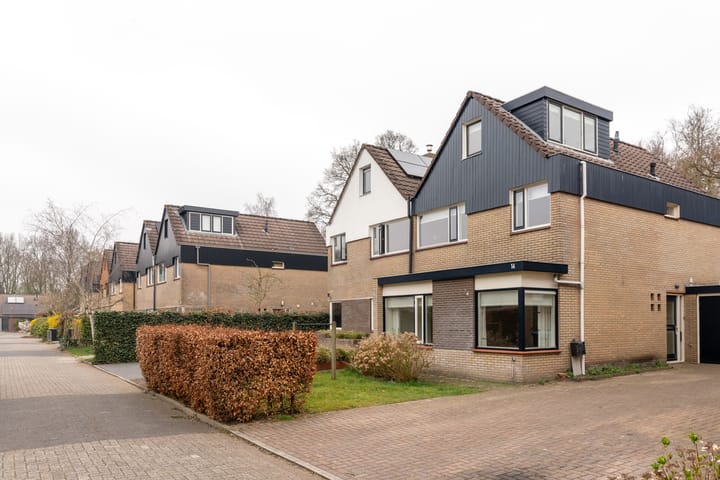 Foto 38 van Eendenkooi 14