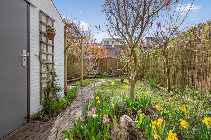 Photo 21 of Prof. Oudemansstraat 36