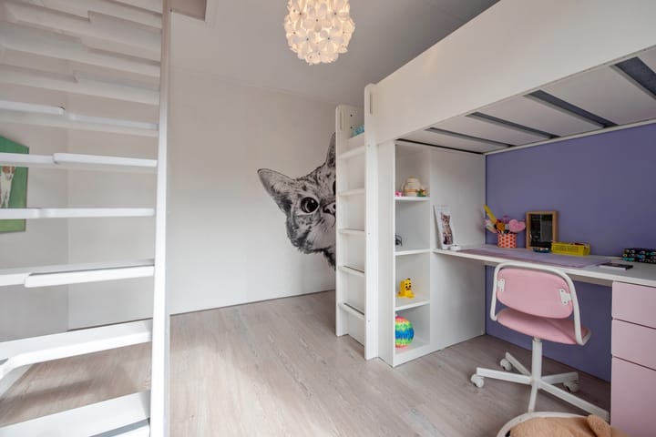 Photo 33 of Prof. Oudemansstraat 36