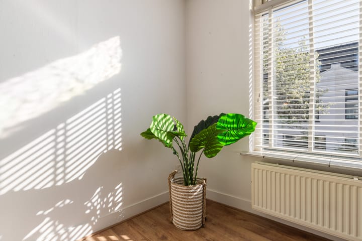 Foto 15 van Rozenstraat 138-A