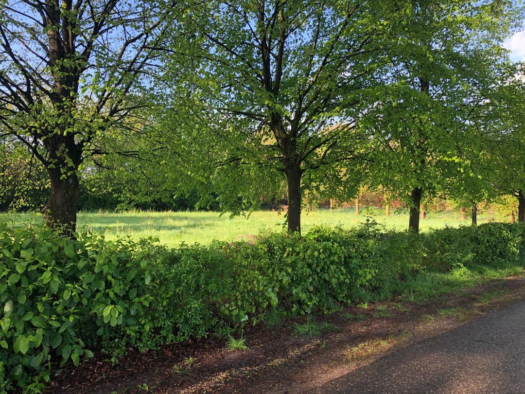 Foto 1 van De Wolfsputten