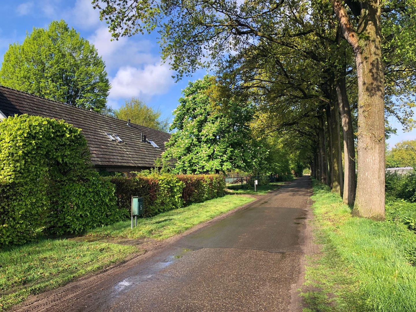 Foto 5 van De Wolfsputten