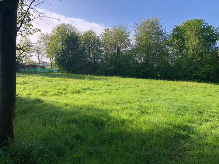 Photo 7 of De Wolfsputten