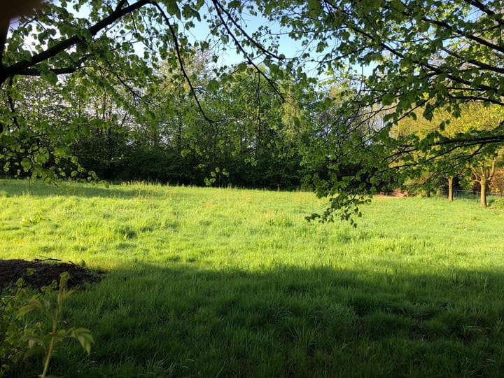 Photo 8 of De Wolfsputten