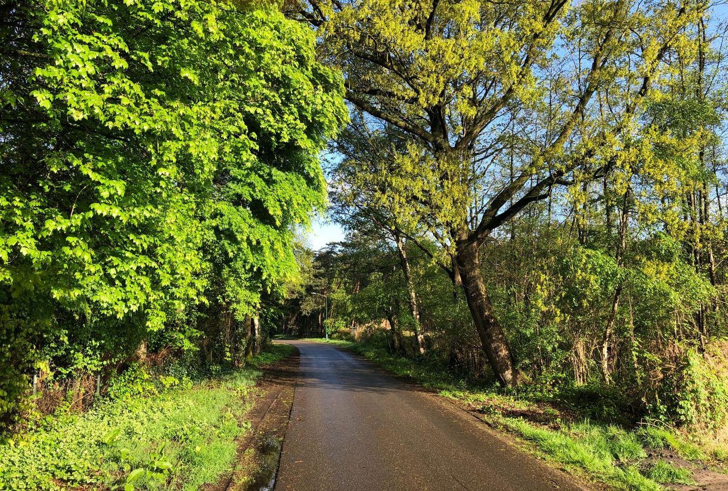 Foto 10 van De Wolfsputten