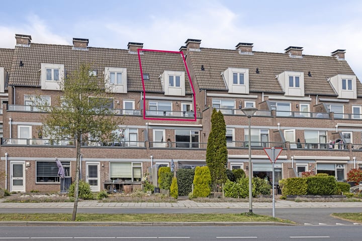 View photo of Peellaan 161