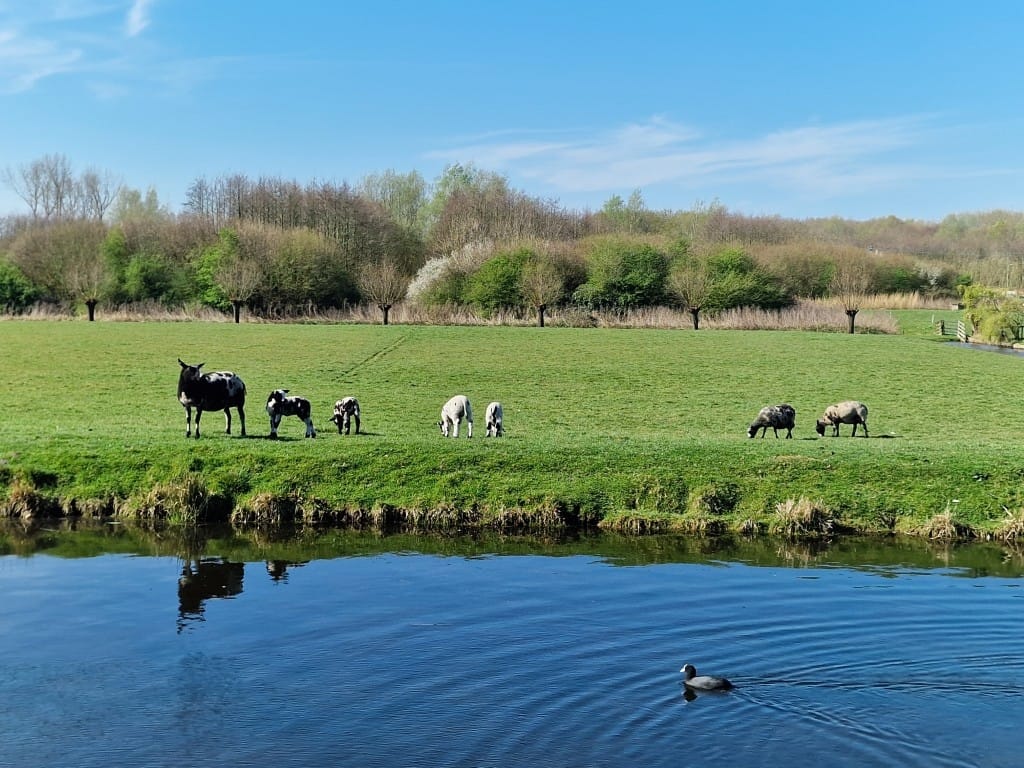 Foto 6 van Nieuwkoopseweg nabij 44a