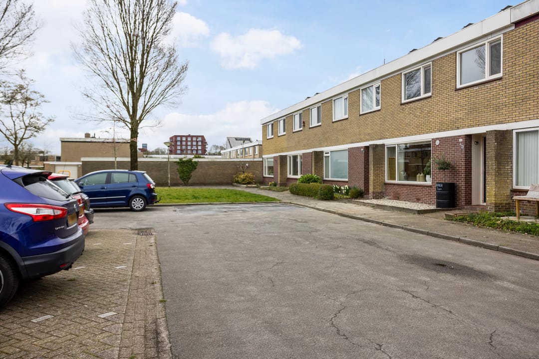 Foto 8 van de Bird 103