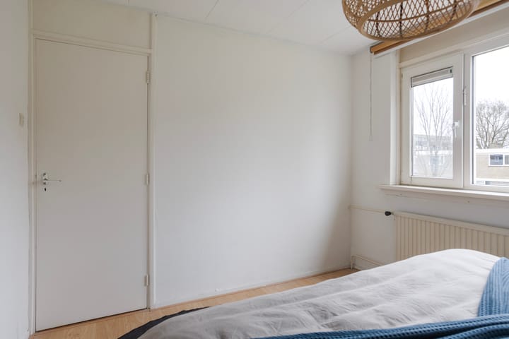 Foto 40 van de Bird 103