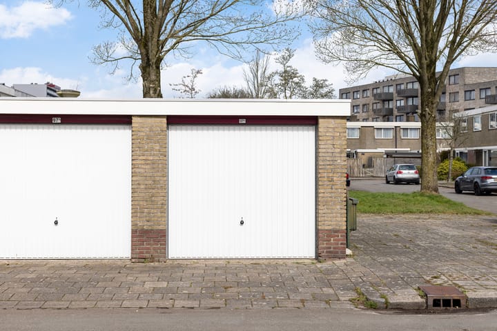 Foto 51 van de Bird 103