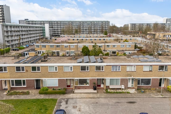 Foto 53 van de Bird 103