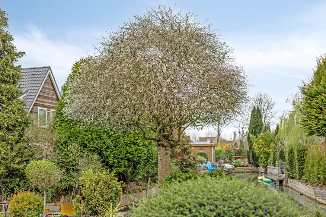 Foto 43 van Linge Singel 30