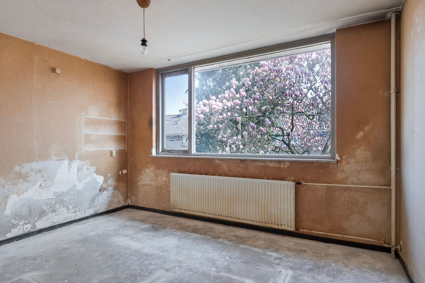 Foto 19 van Gastakker 20