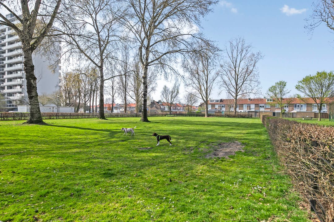 Foto 26 van Gastakker 20