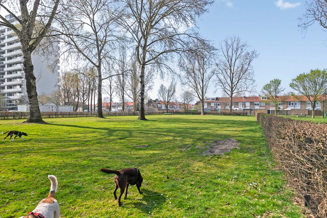 Foto 28 van Gastakker 20