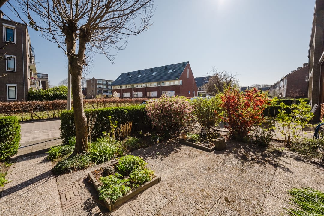 Foto 1 van Frans Halsstraat 6