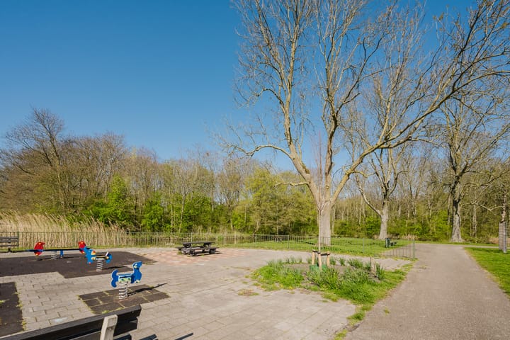 Foto 7 van Frans Halsstraat 6