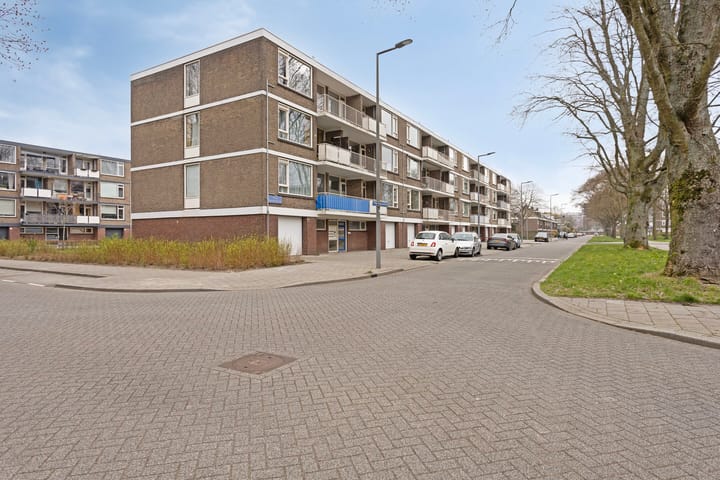 Foto 6 van Philip Vingboonsstraat 209