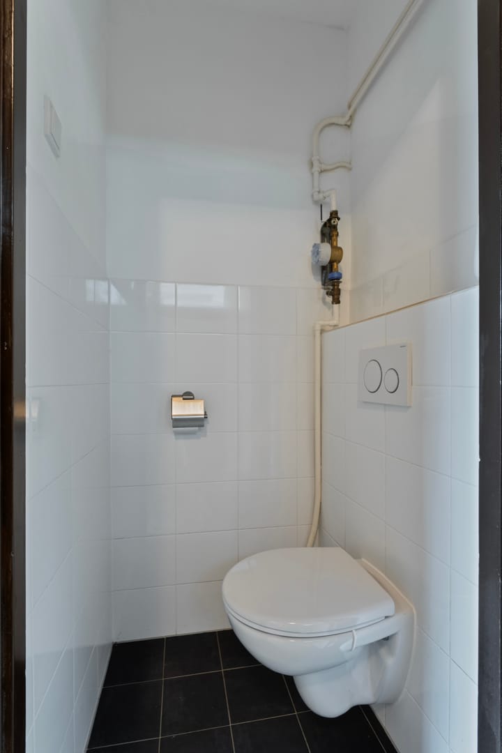 Foto 9 van Philip Vingboonsstraat 209