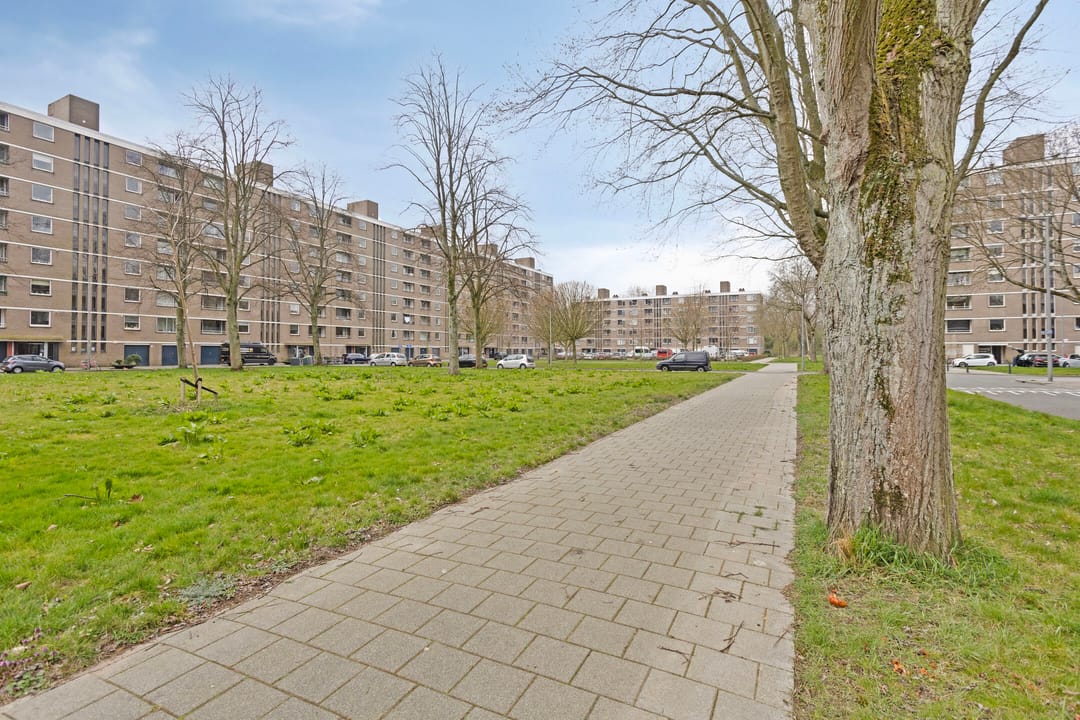 Foto 26 van Philip Vingboonsstraat 209