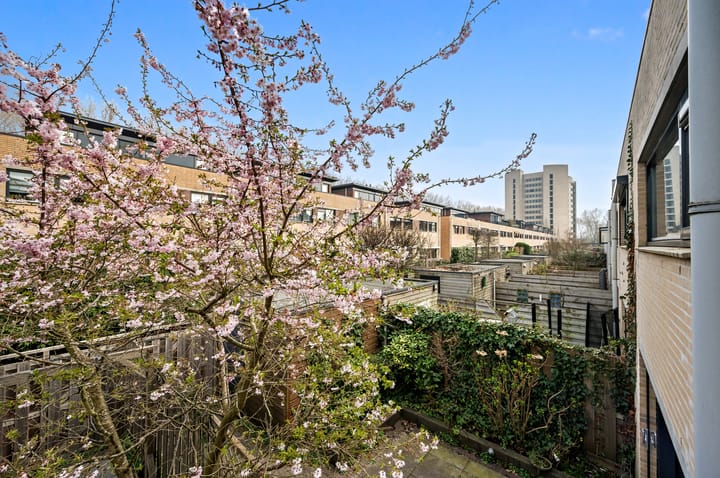 Foto 15 van Hof van Zilverlicht 33