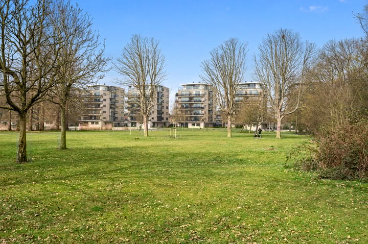 Foto 30 van Hof van Zilverlicht 33