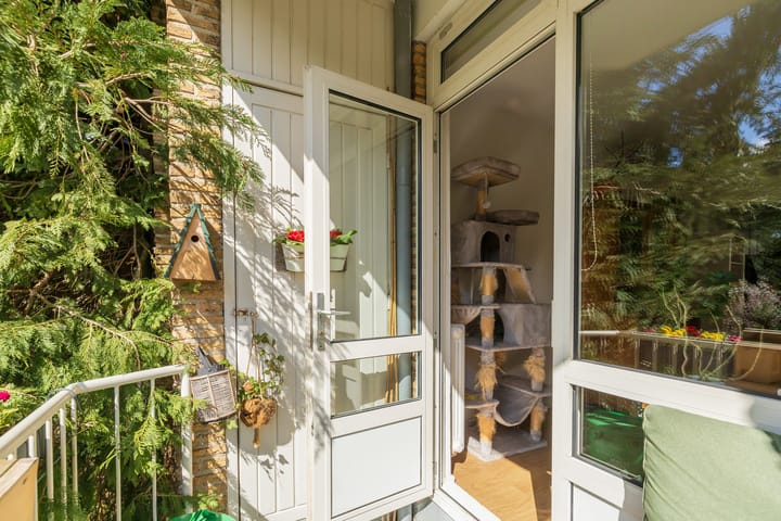 Foto 18 van Van Trigtstraat 132