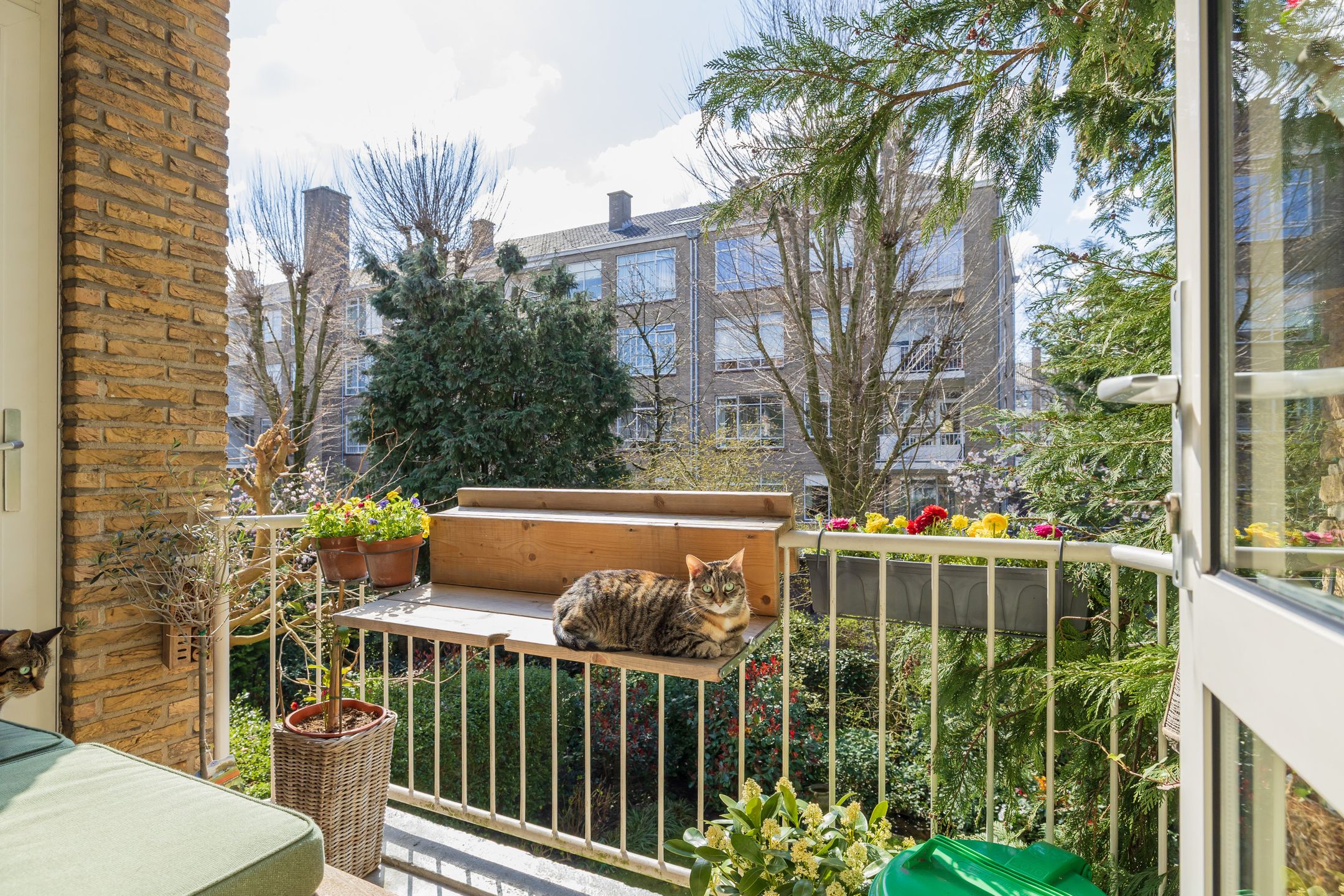 Foto 21 van Van Trigtstraat 132