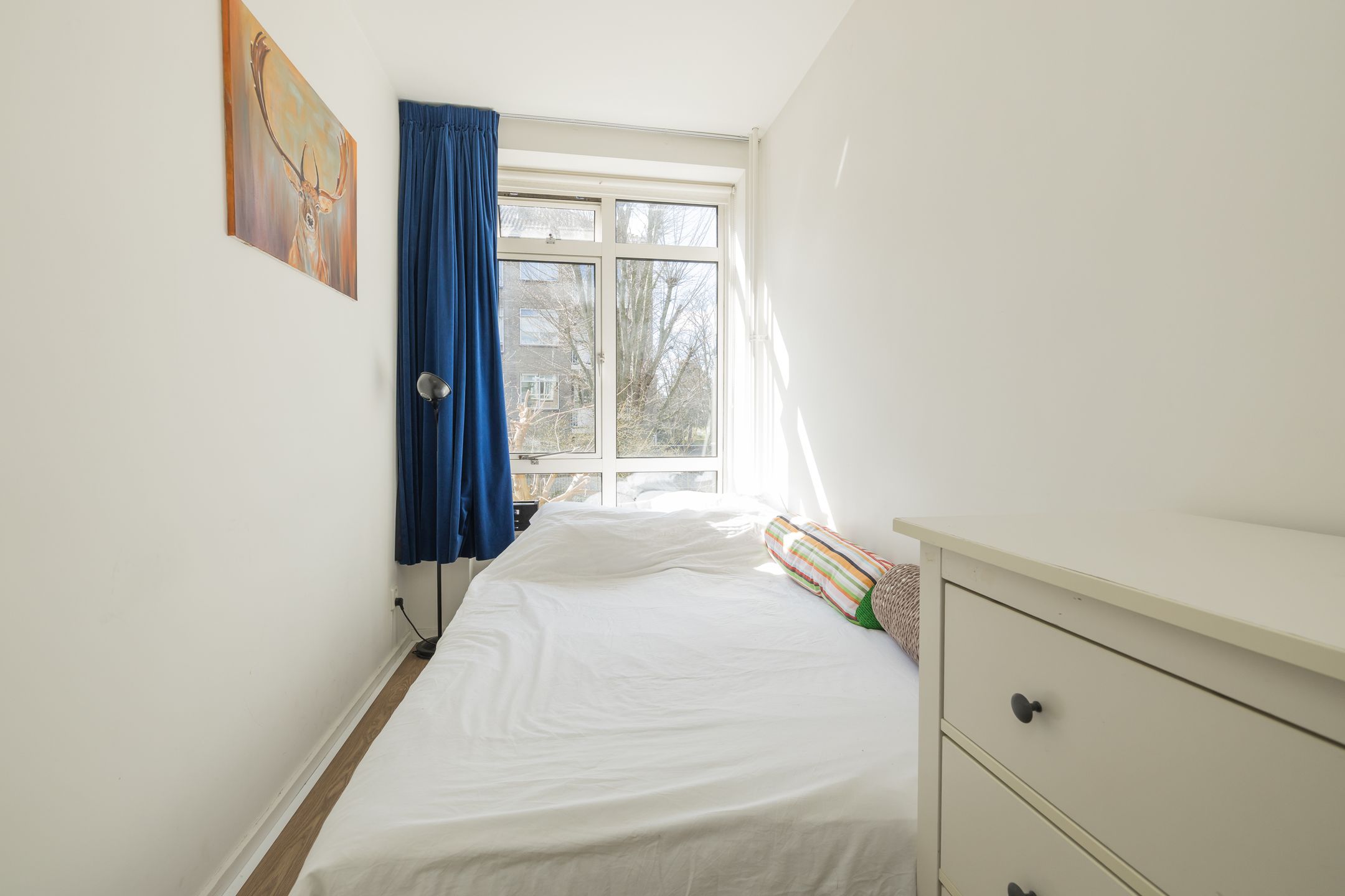 Foto 24 van Van Trigtstraat 132