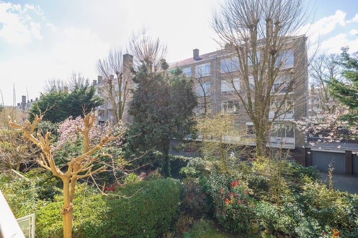 Foto 28 van Van Trigtstraat 132