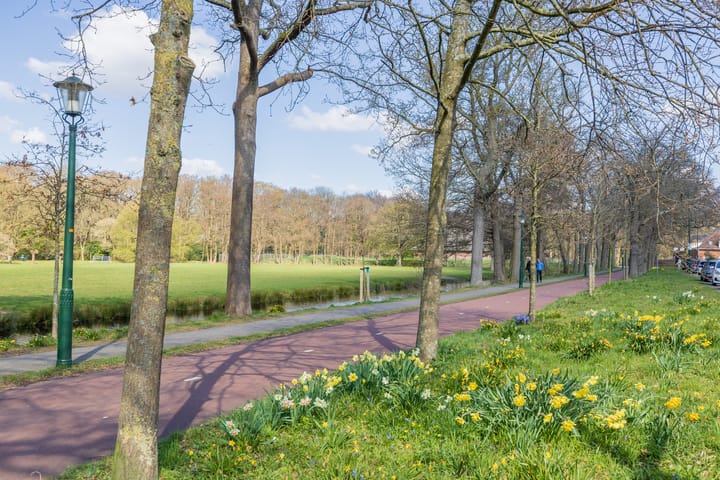 Foto 35 van Van Trigtstraat 132