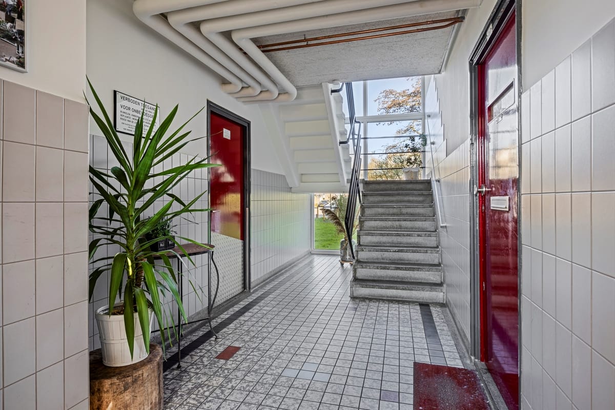 Foto 5 van Frans Halsplantsoen 147