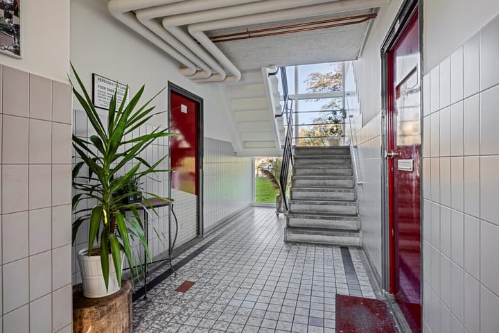 Foto 5 van Frans Halsplantsoen 147