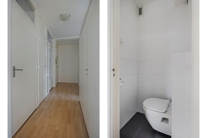 Photo 7 of Frans Halsplantsoen 147