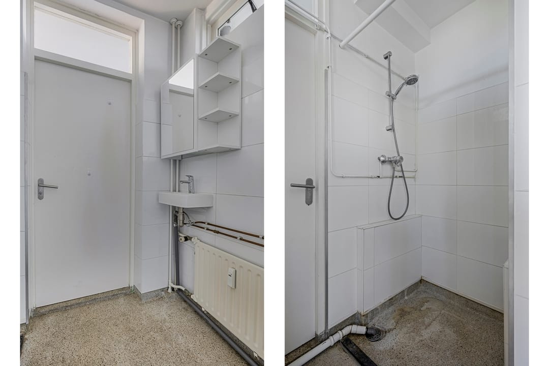 Foto 8 van Frans Halsplantsoen 147