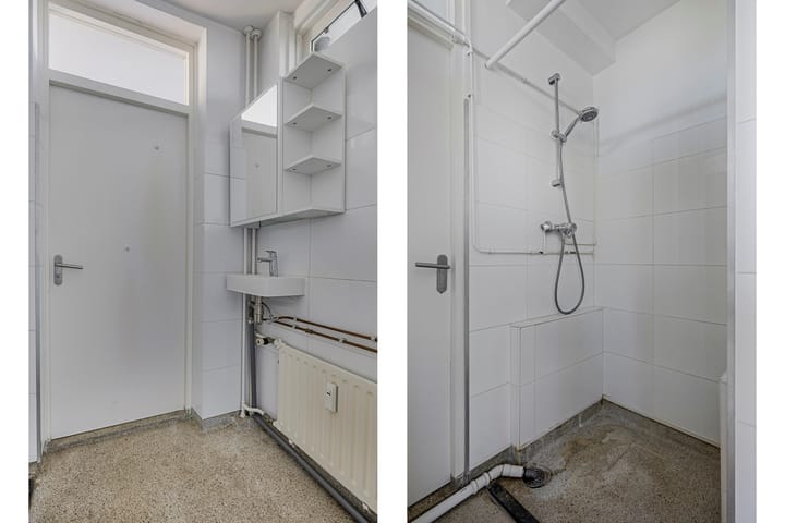 Photo 8 of Frans Halsplantsoen 147