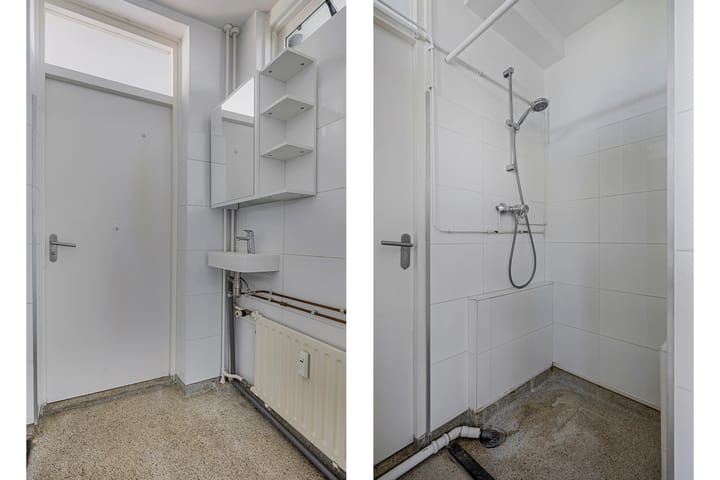 Photo 9 of Frans Halsplantsoen 147