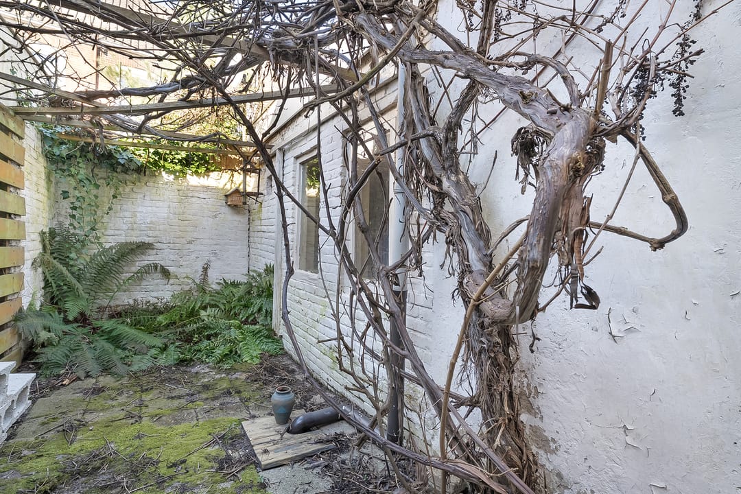 Foto 23 van Van der Laenstraat 176