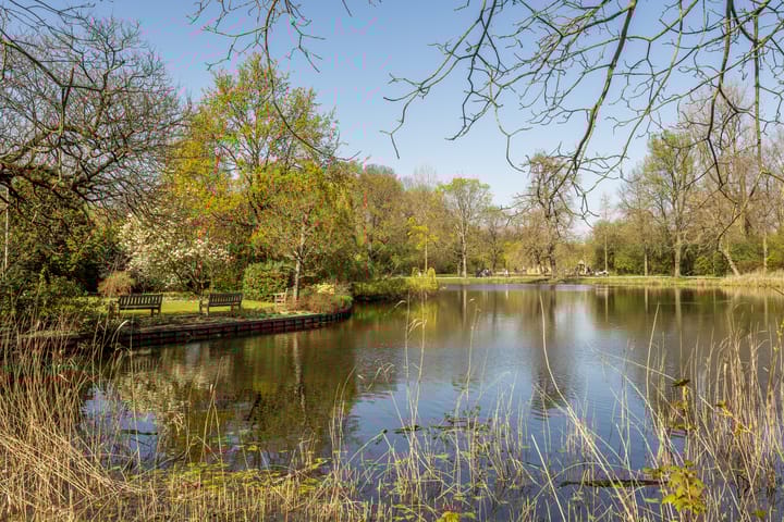 Foto 38 van Koninginneweg 87-H