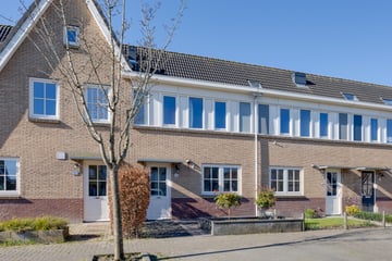 Houtwerf thumbnail
