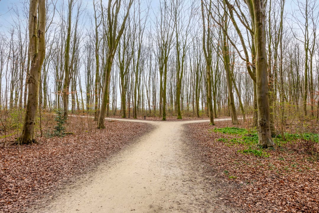 Foto 43 van Parksingel 54