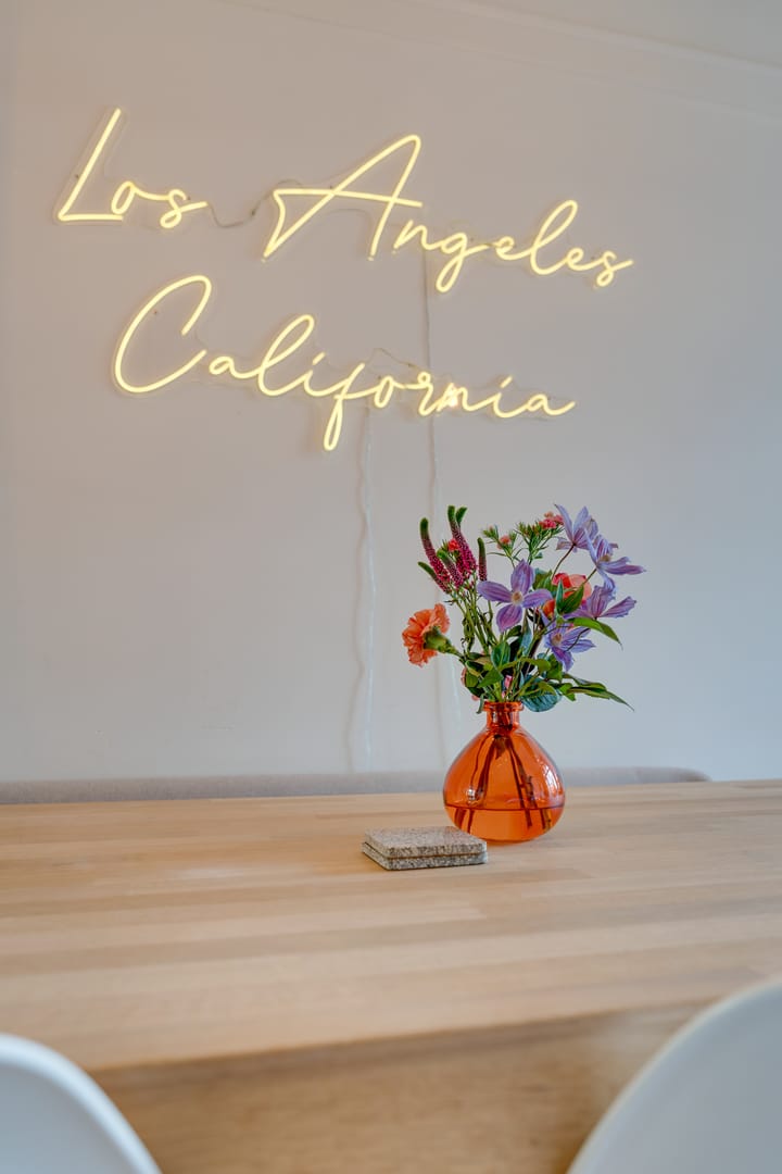 Foto 16 van Jasonstraat 46-1