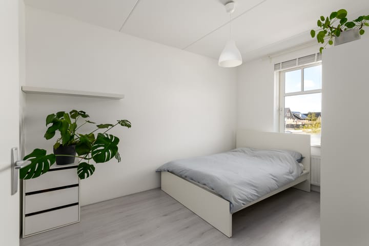 Foto 19 van Jelle Plantingstraat 62