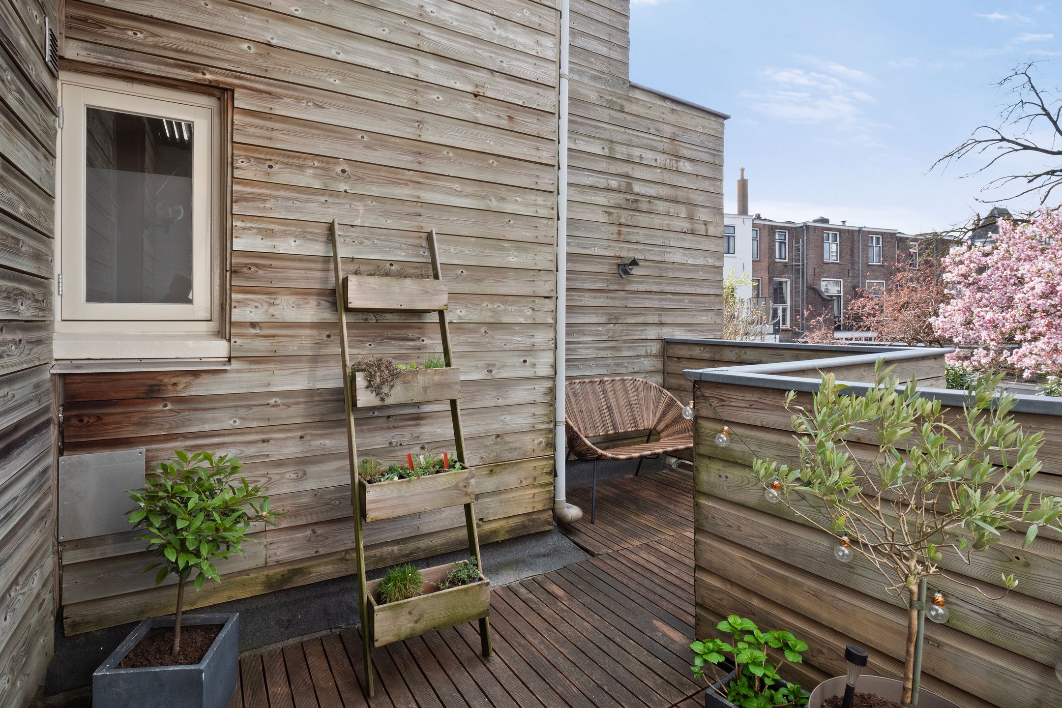 Foto 6 van Hertogstraat 12-A