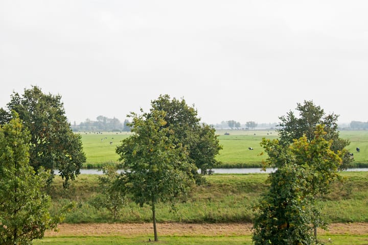 Foto 41 van Botterboulevard 165