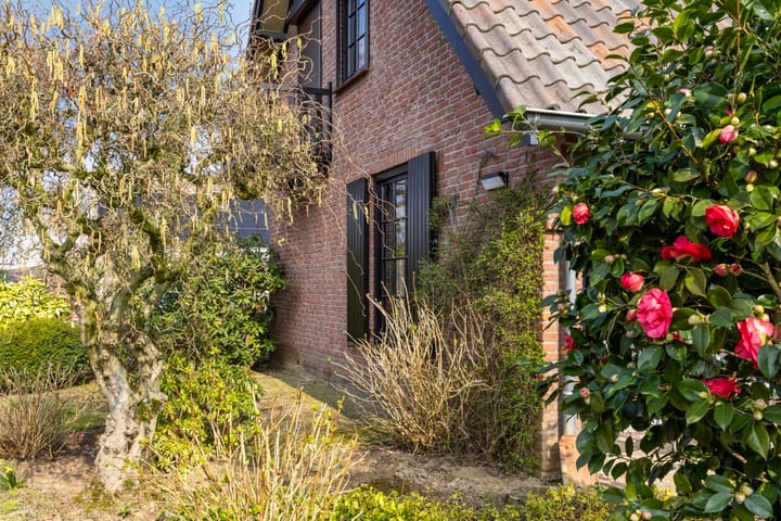 Foto 31 van Sweelinck 17