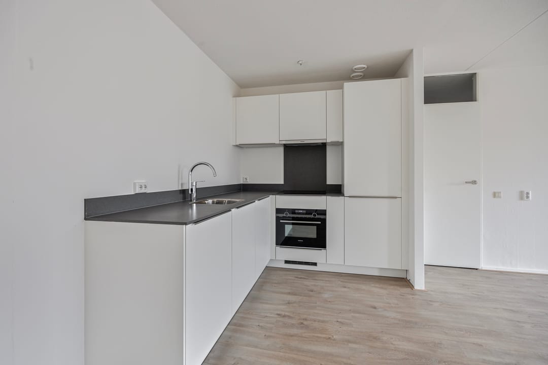 Foto 2 van Ir J.P. van Muijlwijkstraat 304