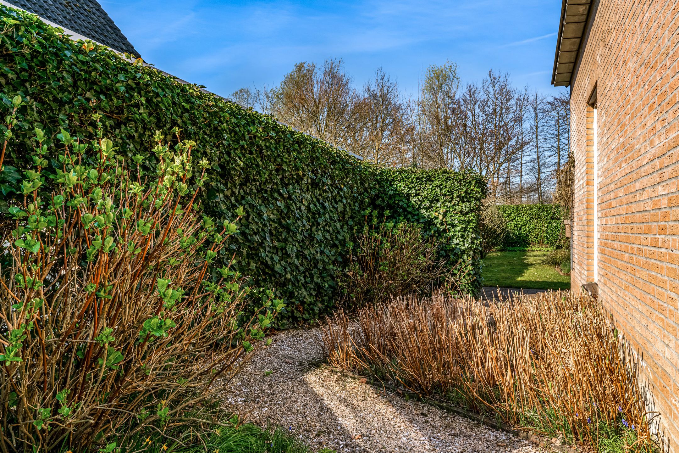 Photo 39 of Steenovenlaan 8